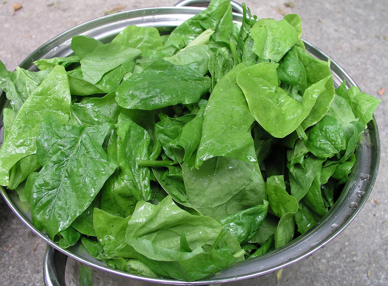 ほうれん草