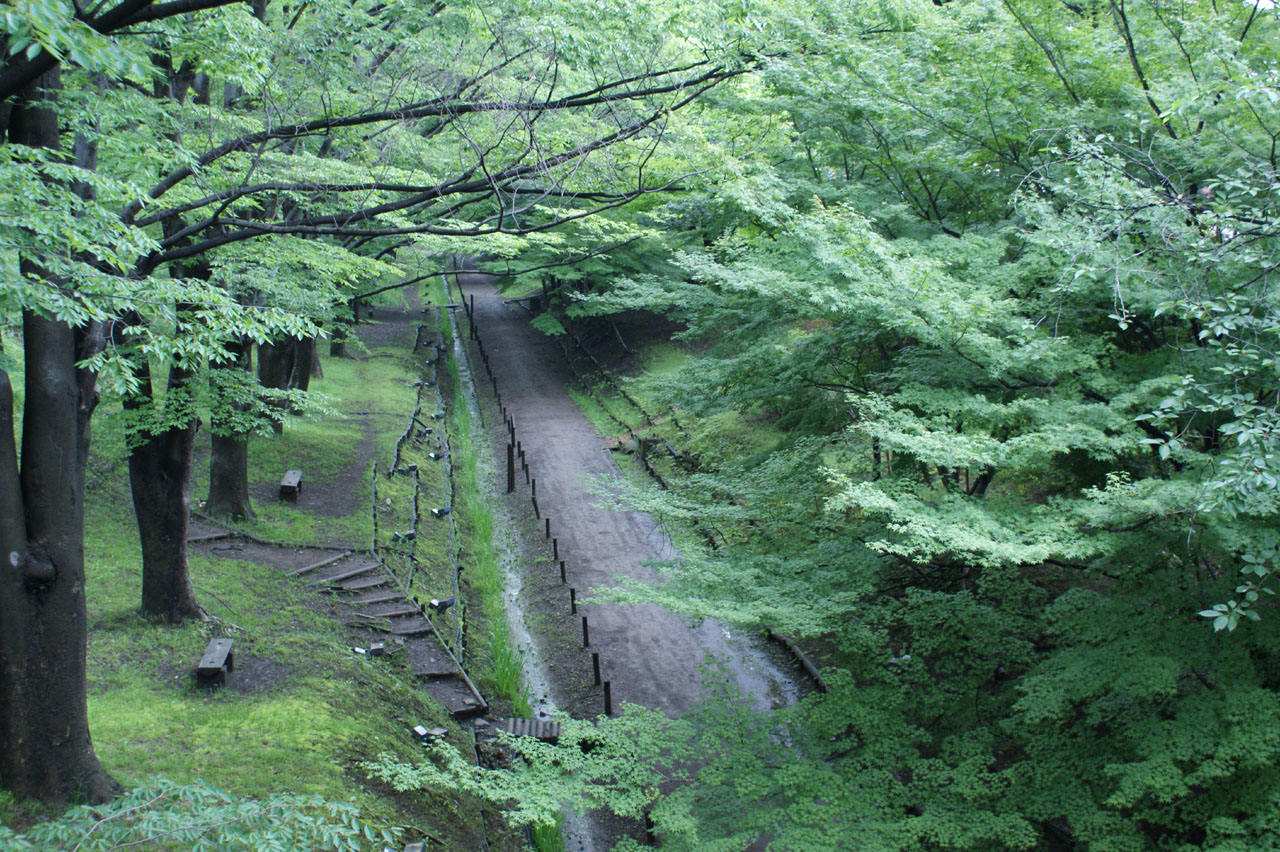 緑に囲まれた遊歩道