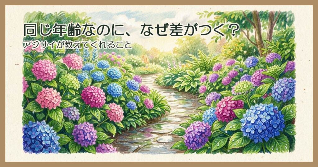 雨上がりの庭に咲く色とりどりのアジサイ