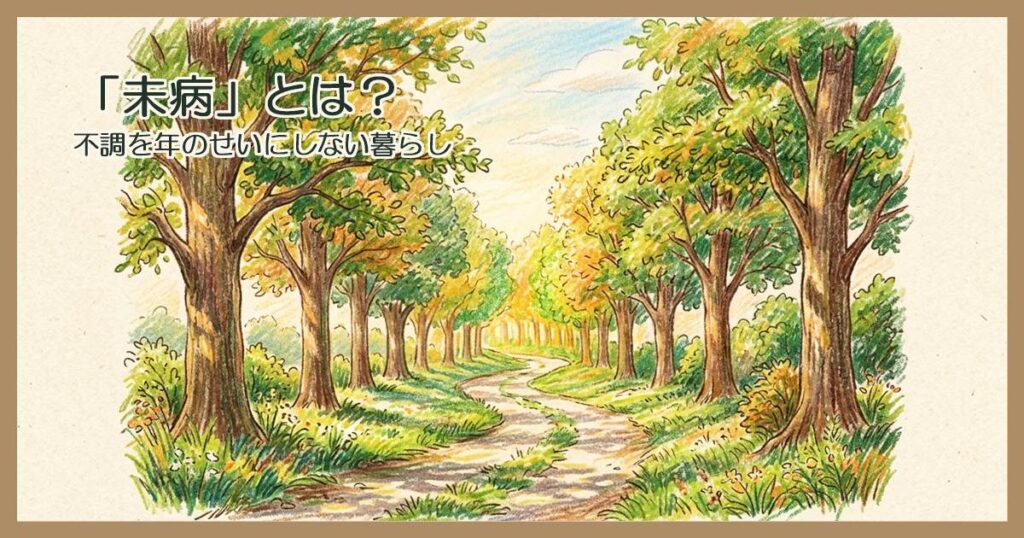朝の光が差し込む並木道と木漏れ日