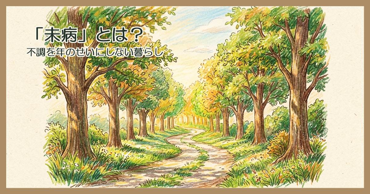 朝の光が差し込む並木道と木漏れ日