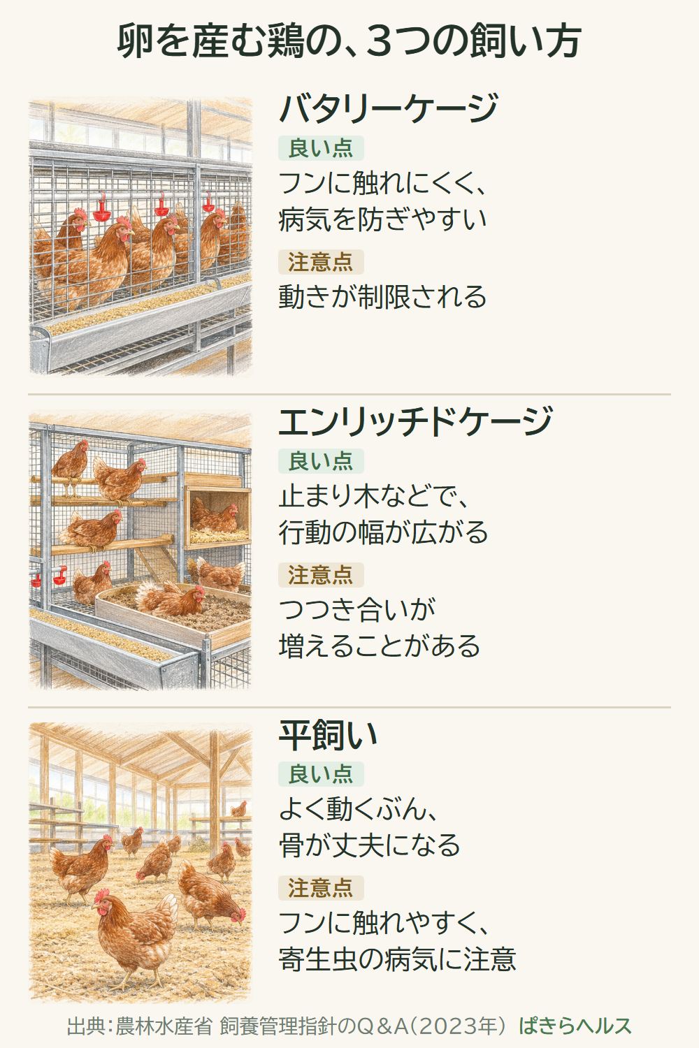 卵を産む鶏の3つの飼い方の図。バタリーケージは、良い点がフンに触れにくく病気を防ぎやすいこと、注意点が動きが制限されること。エンリッチドケージは、良い点が止まり木などで行動の幅が広がること、注意点がつつき合いが増えることがあること。平飼いは、良い点がよく動くぶん骨が丈夫になること、注意点がフンに触れやすく寄生虫の病気に注意が要ること